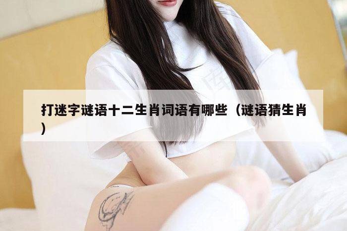 打迷字谜语十二生肖词语有哪些（谜语猜生肖）